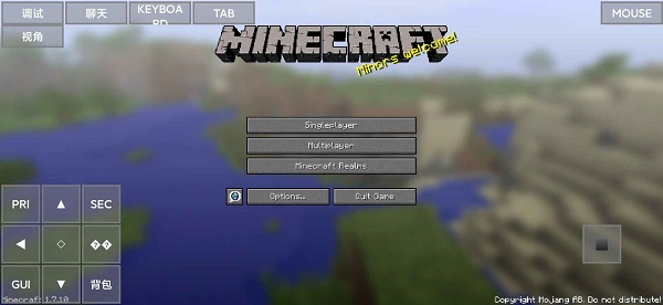 Minecraft java版