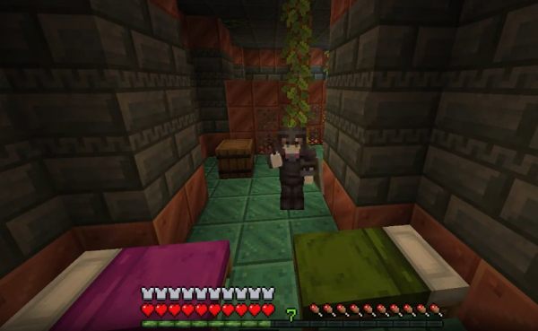 我的世界少年骇客