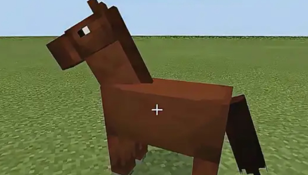 我的世界少年骇客