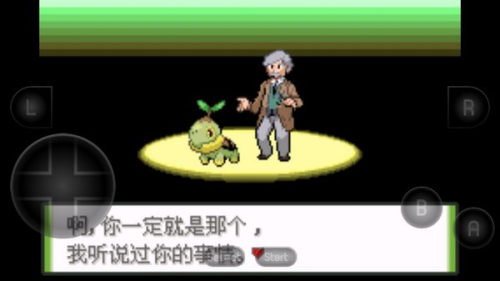 口袋妖怪釉色内置修改器