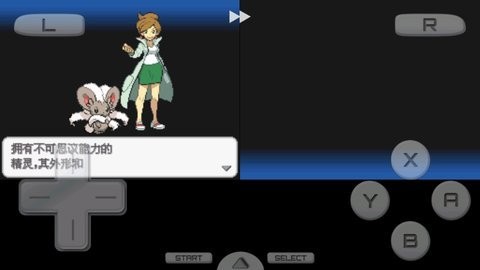 口袋妖怪黑2中文版