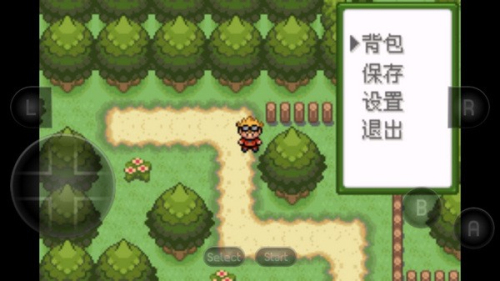 口袋妖怪釉色内置修改器