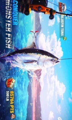 欢乐钓鱼大师国际服