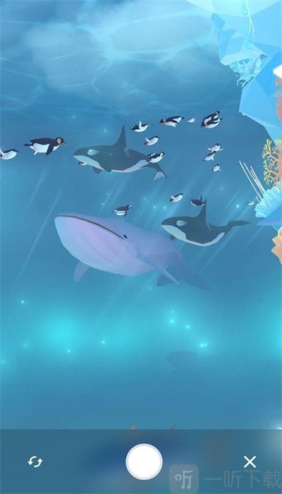 深海水族馆极地