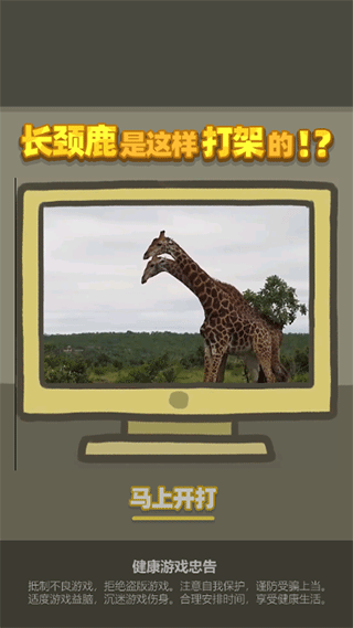 长颈鹿是这样打架的免广告版