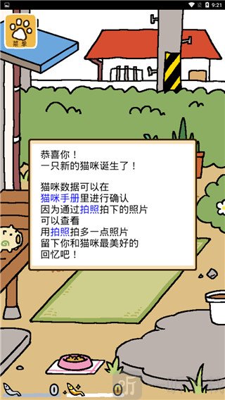猫咪后院2安卓版