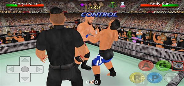 摔跤革命3D最新版