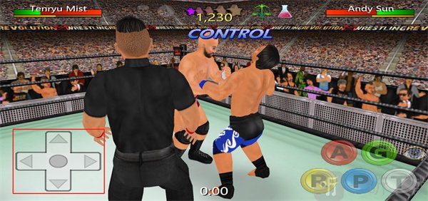 摔跤革命3D最新版