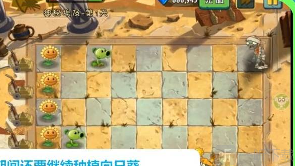 植物大战僵尸匹配版