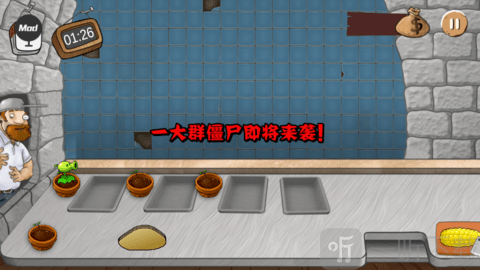 沙威玛植物大战僵尸