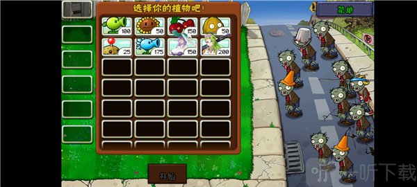 庄不纯植物大战僵尸