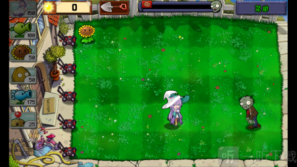 庄不纯植物大战僵尸