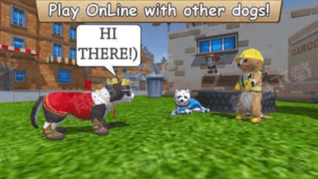 美国zoom动物最新版