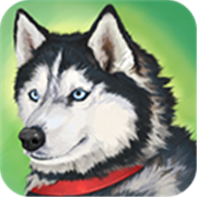 美国zoom动物免费版