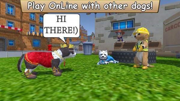 美国zoom动物免费版