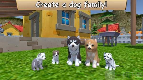 美国Zoom动物中文版