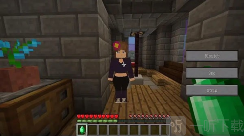 我的世界珍妮冒险