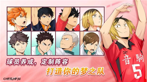 排球少年：新的征程 国服安卓正版