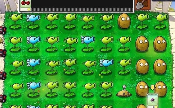 植物大战僵尸原版 2025最新版