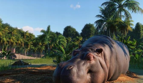 动物园之星免费