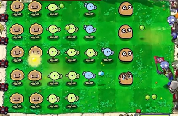 植物大战僵尸幼儿园版 官网2025最新版