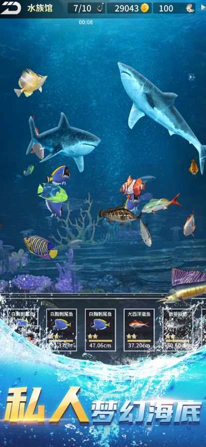 钓鱼达人 手机版