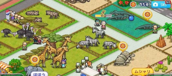 开罗探险顽皮动物园