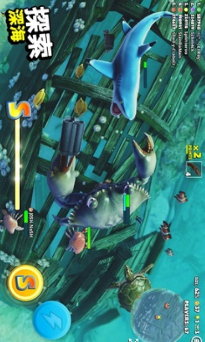 螃蟹之王国际服