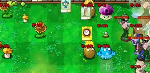 植物大战僵尸抽卡版