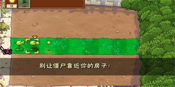 植物大战僵尸war版