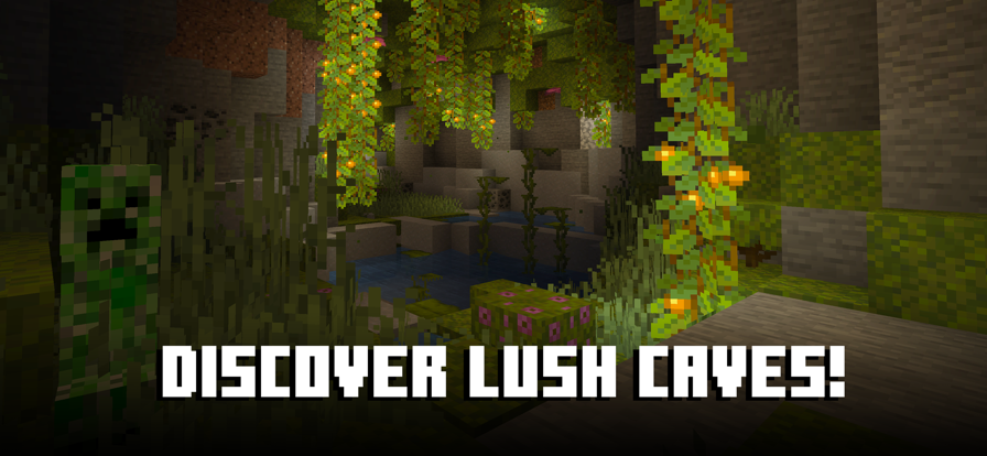 我的世界 国际服1.21正式版