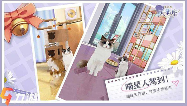 梦间集天鹅座安卓版