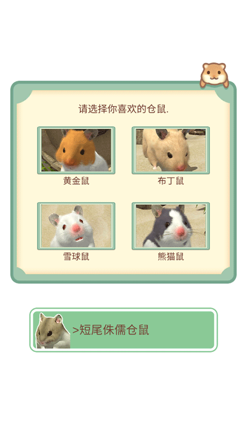 我的仓鼠游戏官方正版