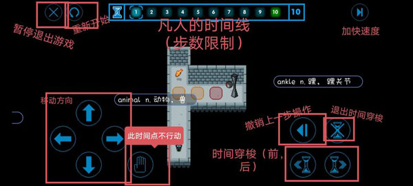 时间之神的猫游戏