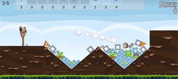 肉鸽小鸟 最新版