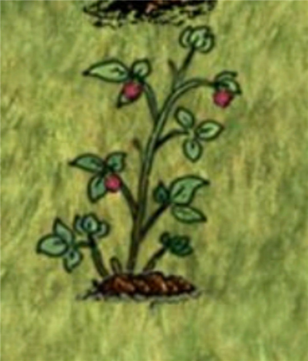 希望之村2025最新版