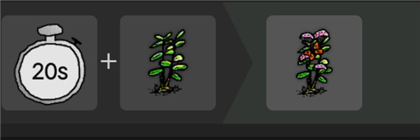 希望之村2025最新版