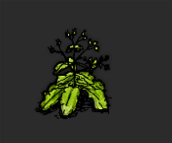 希望之村2025最新版