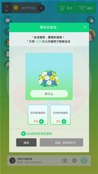 我的水晶花园中文版