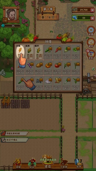 外婆的小农院2官方版