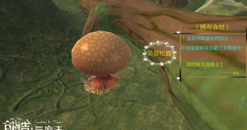 创造与魔法外服