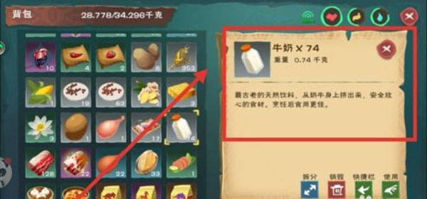 创造与魔法联机版