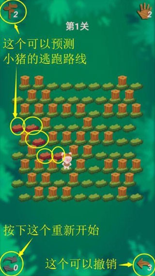 捉小猪游戏