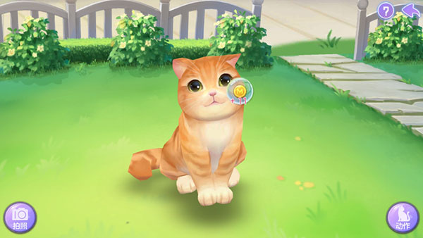 喵与筑游戏