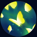 传说对决2025最新版本(Arena of Valor)