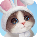 我和我的猫游戏官方版