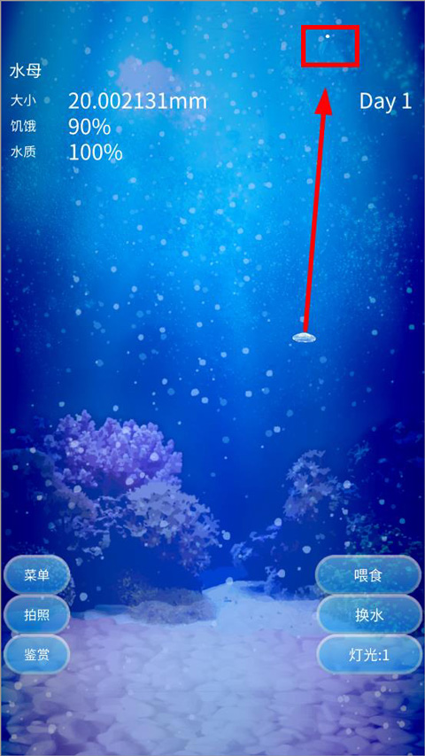 养育水母的治愈游戏中文版