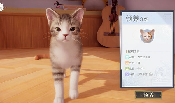 我和我的猫游戏官方版