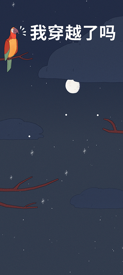 孤独的鸟儿正版