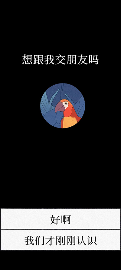 孤独的鸟儿正版